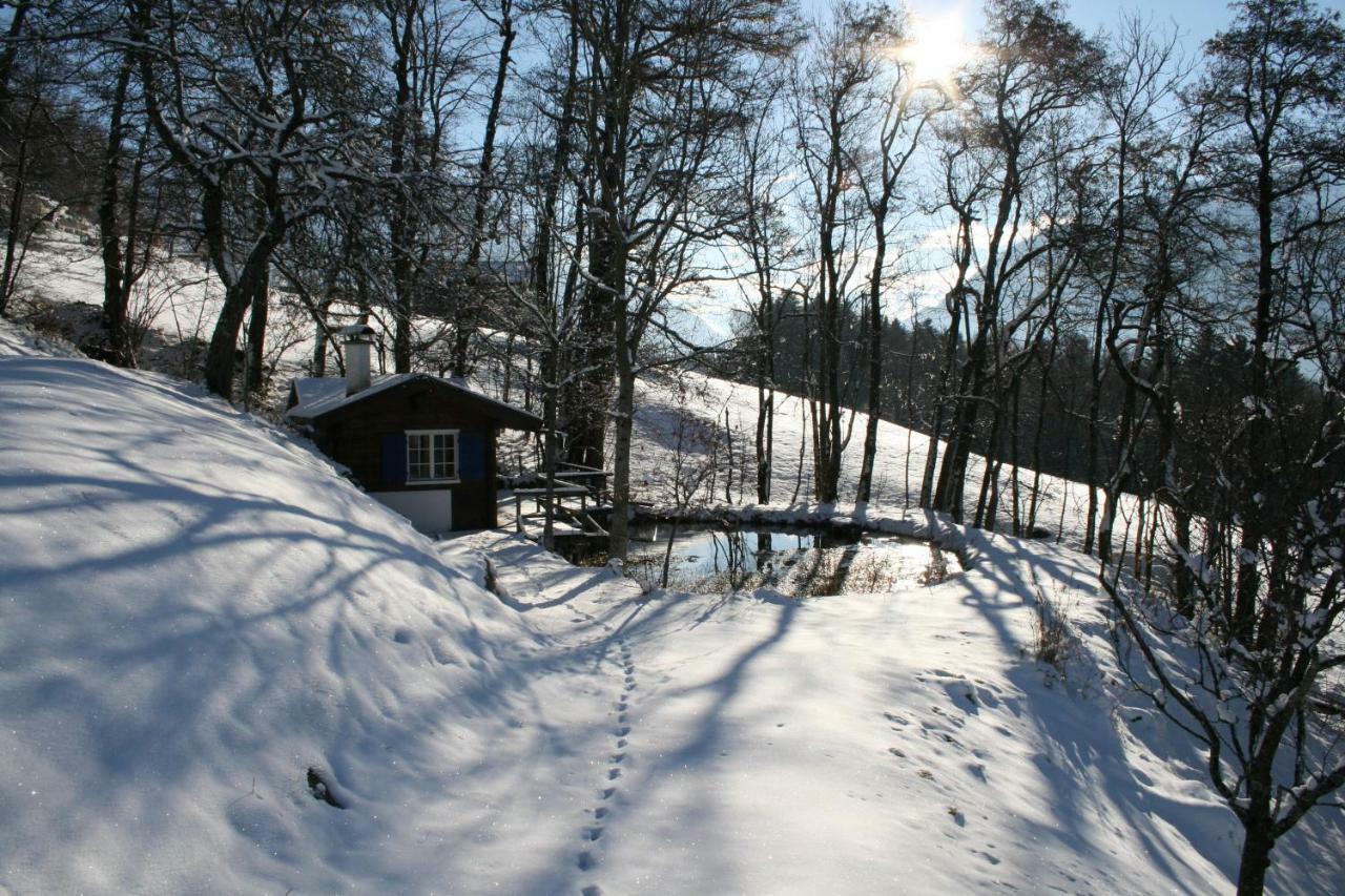 Kleines Paradies Montafon Bartholomäberg Exteriér fotografie